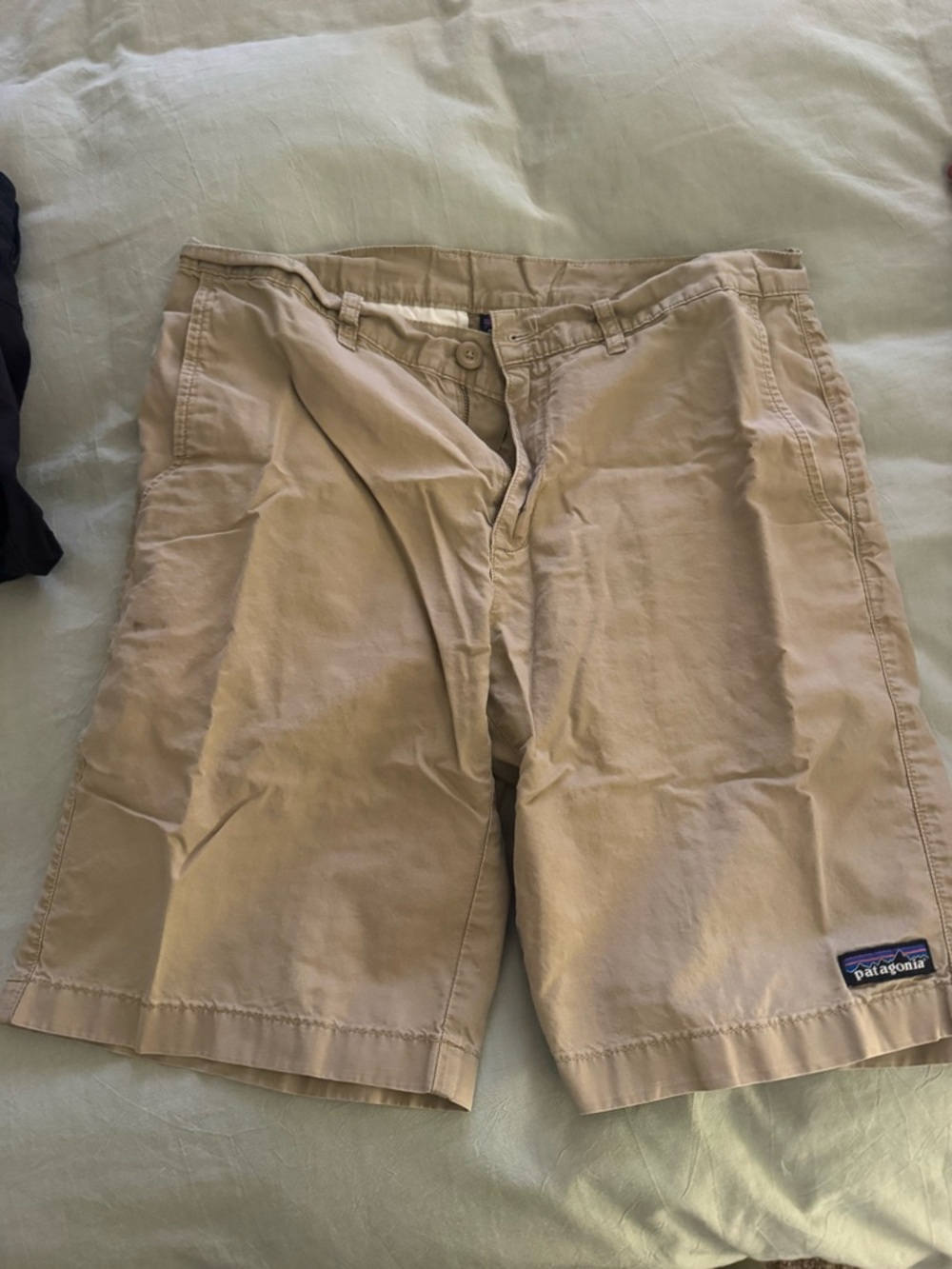 Patagonia Men's Tan Flat Front Chino Shorts